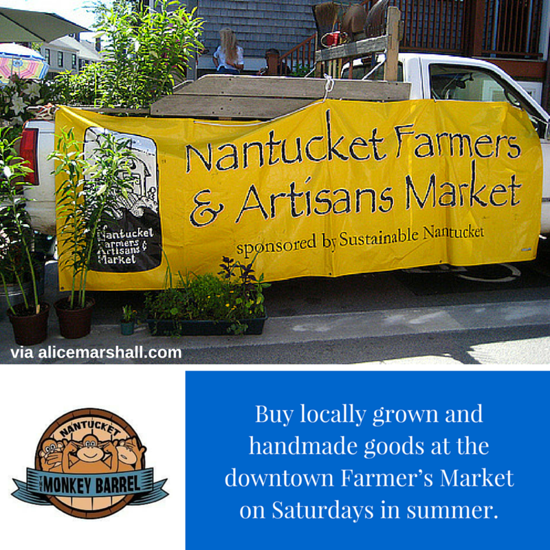 Nantucket never runs out of fun activities! Look out for more tips every week! 🤓💡 #nantucket #themonkeybarrel #38surfside #tips