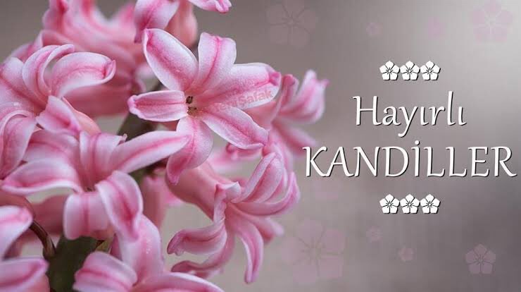 omo platform (@omoplatform) on Twitter photo 