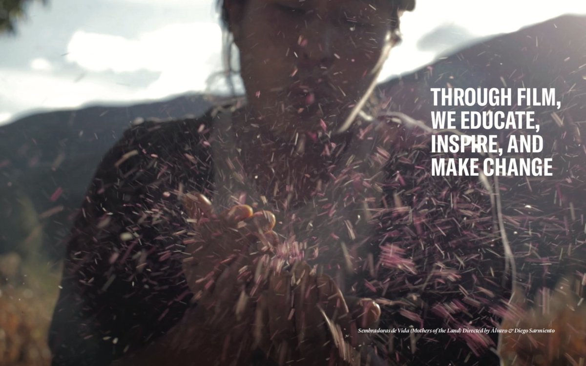 @ciesfilm tweet media