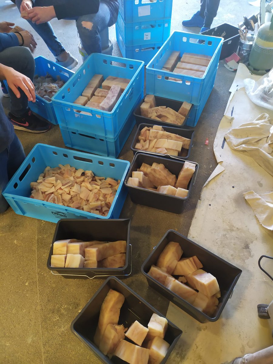 KvvQuickBoys's tweet image. 💙 Vanmiddag hebben de mannen van Tifosi QB maar liefst 800 porties kibbeling geschonken aan verzorgingstehuizen in Katwijk, Rijnsburg en Oegstgeest. Klasse!! 💙