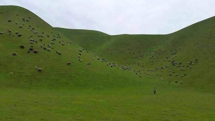 Afghanistan_5's tweet photo. Dasht-e-Abdan in northern Kunduz province of Afghanistan.
Sensational, isn't it? https://t.co/IjI2C3hjea