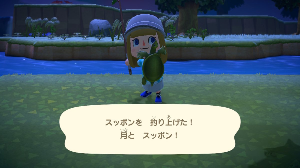 清水屋 やはり76は最高だな On Twitter カミツキガメとスッポンを捕まえて飾るとカミツキガメは水槽無しだったw どうぶつの森 Animalcrossing Acnh Nintendoswitch