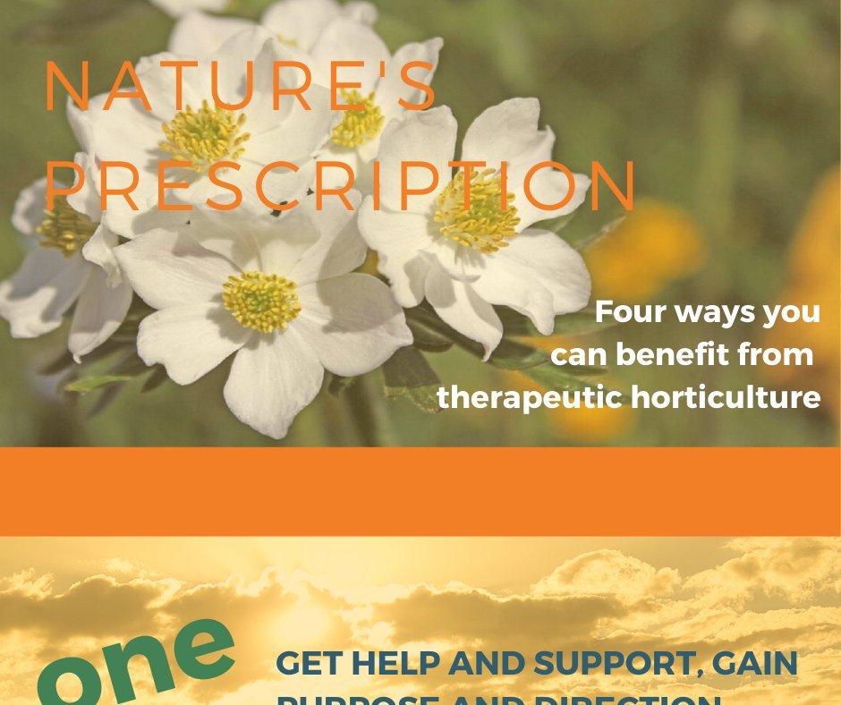 RuralBusinessC's tweet photo. Nature can work wonders for those struggling with stress, anxiety or depression. Here are four ways that people can benefit from green therapy: Click for more https://t.co/yuu6ONObgo
#greentherapy #ecotherapy https://t.co/bk5EhTLXKW