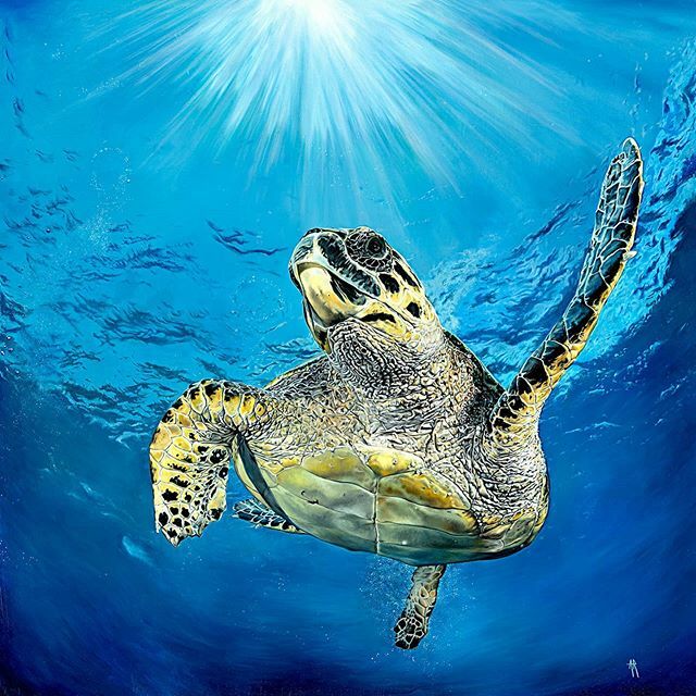 Turtles are not social creatures. 
They rarely interact with each other apart from mating!!
They don’t mind if there are other turtles around them but they do not socialise....... Very unlike us humans!!!
We love a good get together don't we. 
How are yo… ift.tt/2QBqKrG