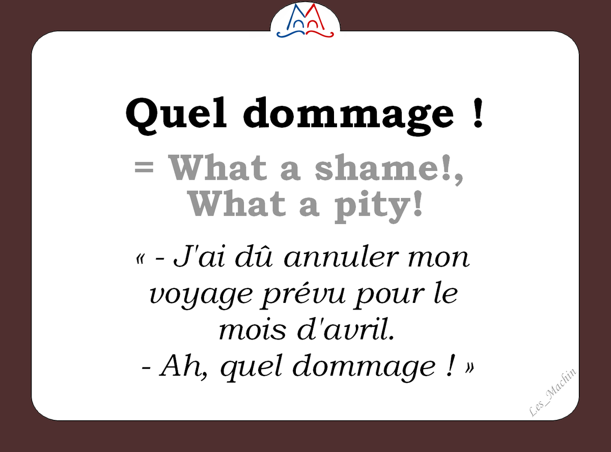 Les_Machin's tweet photo. La phrase du jour : 
« Quel dommage ! » [kɛl dɔmaʒ] 
😩😐😩
 #learnfrench #french #fle 
#ClasseFLE #LesMachin 
#SLFF20 #Francophonie https://t.co/H6eYOGL9pE