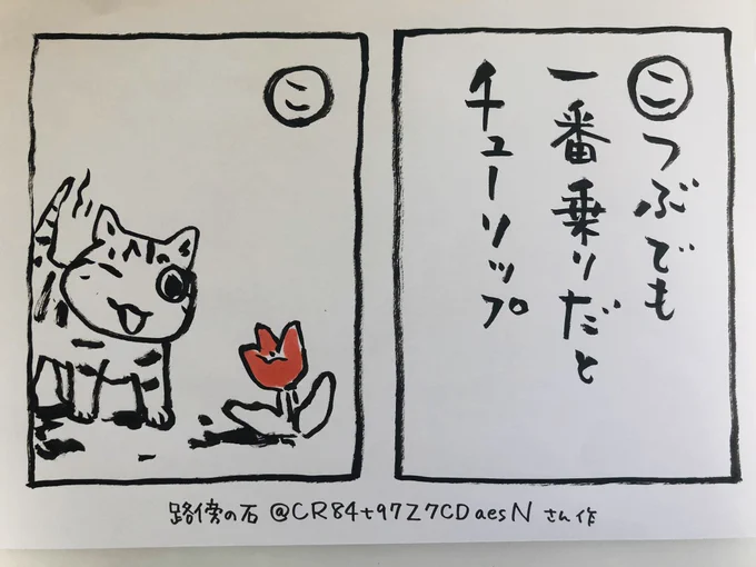 こんにちはこの句は路傍の石さん作。茎がないくらい小さいのに咲いてるチューリップ、ありますよねでも堂々と日差しを浴びて行けるところまで、行ってくれます(ああ、偉いな)今日ご無事で#夜廻り猫#夜廻り猫カルタ 