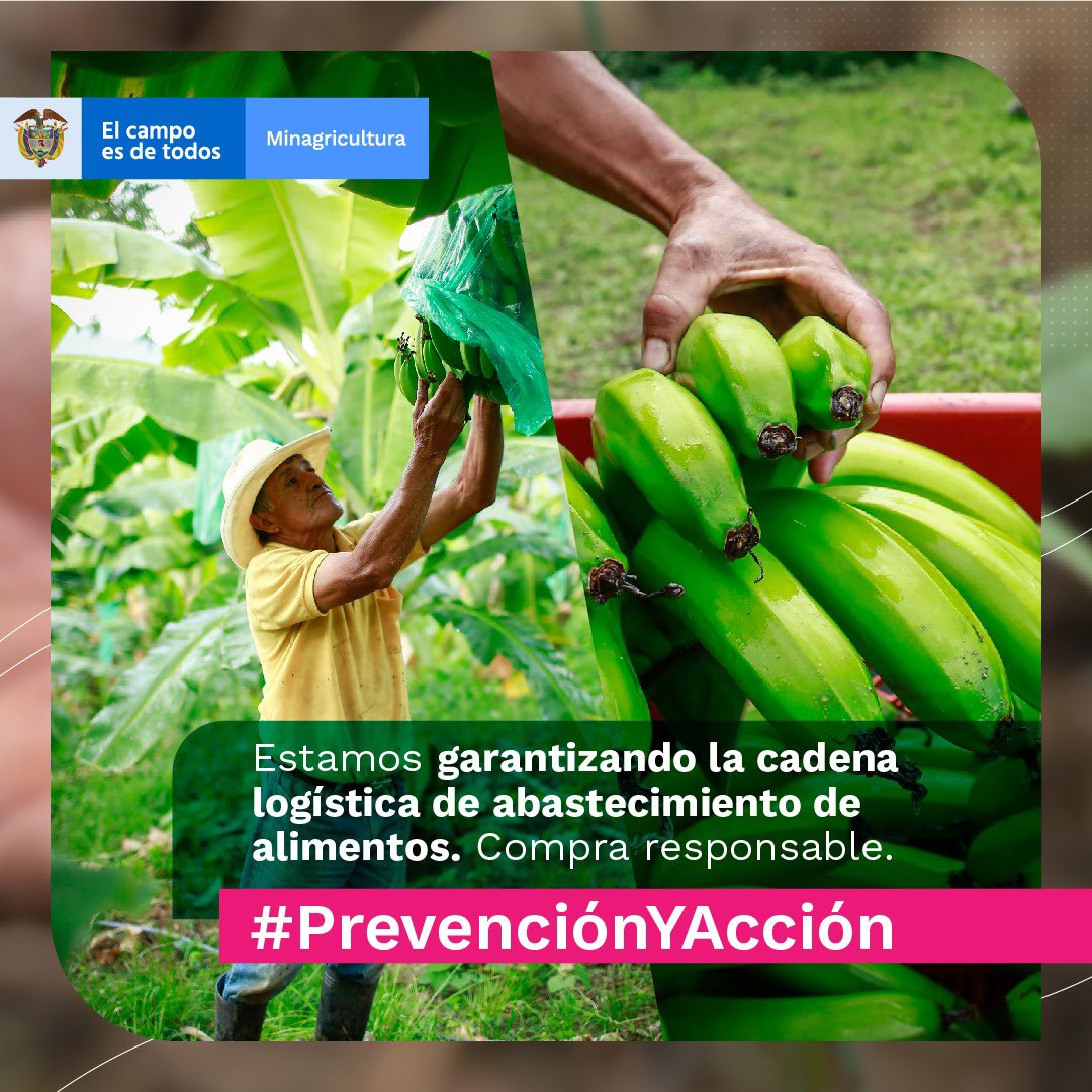 Vivienda Rural tweet media