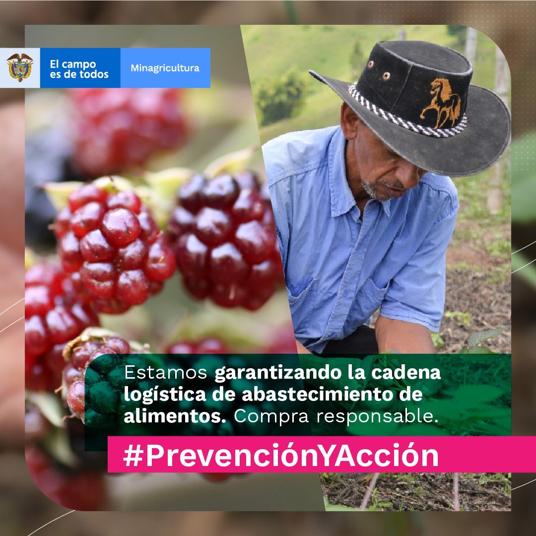 Vivienda Rural tweet media
