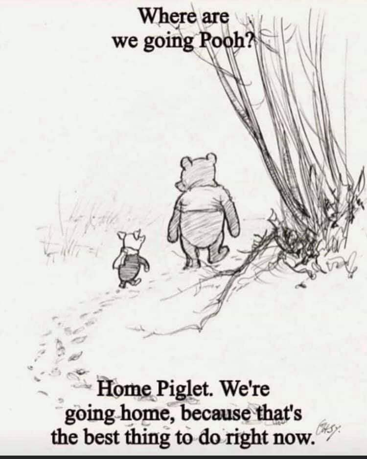 Image result for winnie the pooh going home