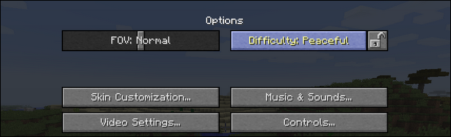 Ssf1991 It S A Minecraft Reference