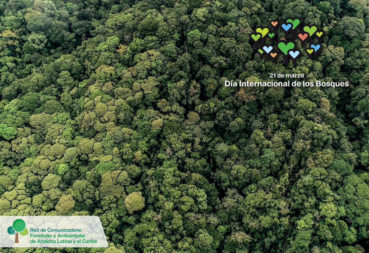 NellArguelloL's tweet photo. #DíaInternacionalDeLosBosques 🌳 https://t.co/Nc7Oy2vcZw