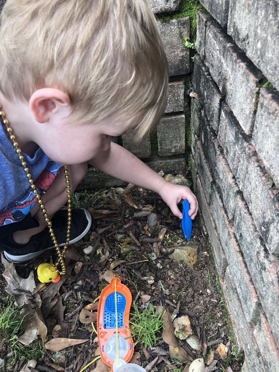 McCarverTami's tweet photo. Using my 1st grade AMSTI skills to make a terrarium with my grandson @charissacole @CVESwarriors @Alabasterk12 @AMSTI_UM https://t.co/y7i4vhHXV3