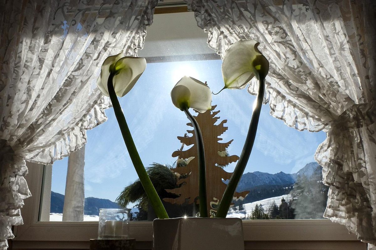 Strada dei Formaggi (@gustodolomiti) on Twitter photo La primavera bussa alla porta in <a href="/valdifassa/">Val di Fassa</a> ma i pendii ancora innevati fanno intendere che aspetterà che tutto andrà bene prima di sbocciare. Intanto si gode la meravigliosa luce che entra dalla finestra. #iorestoacasa
©️Orlerimages.com La primavera bussa alla porta in <a href="/valdifassa/">Val di Fassa</a> ma i pendii ancora innevati fanno intendere che aspetterà che tutto andrà bene prima di sbocciare. Intanto si gode la meravigliosa luce che entra dalla finestra. #iorestoacasa
©️Orlerimages.com