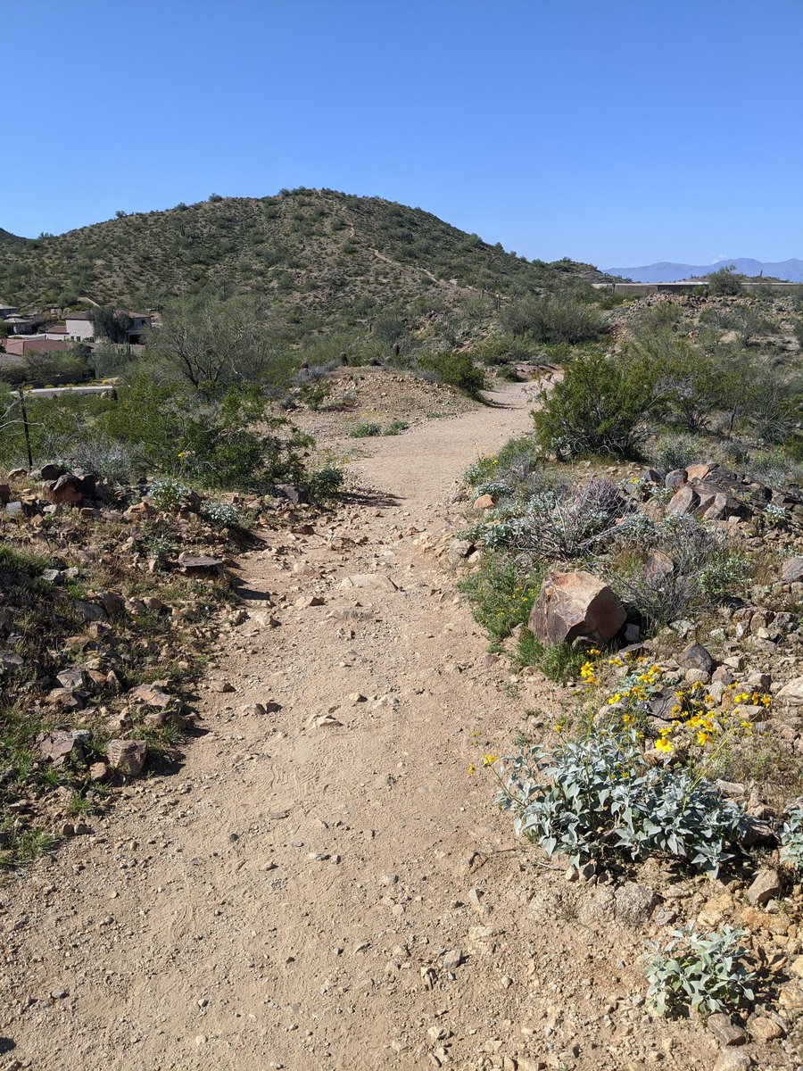 LS Sixth Grade tweet media