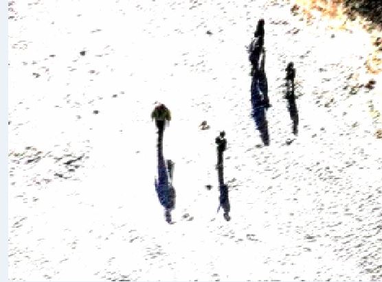 Jour 63 : une nouvelle vidéo, j'ai vu des gens en train de marcher sur la plage (?), leurs ombres comme des doppelgängers... Attention, pas plus de 5 personnes !