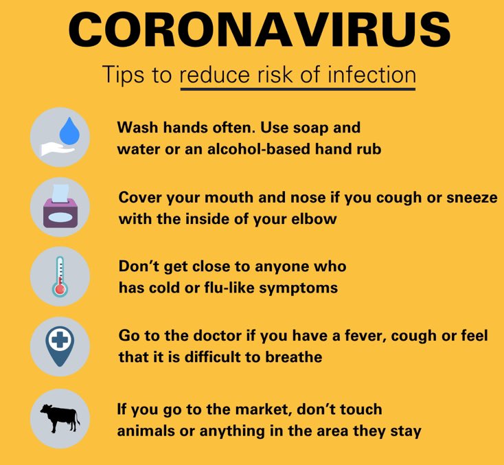 EM203Thomson's tweet photo. Here are some helpful tips for those around the world to stay as healthy as possible during this pandemic #EM203Robin https://t.co/FR11LzOG5w