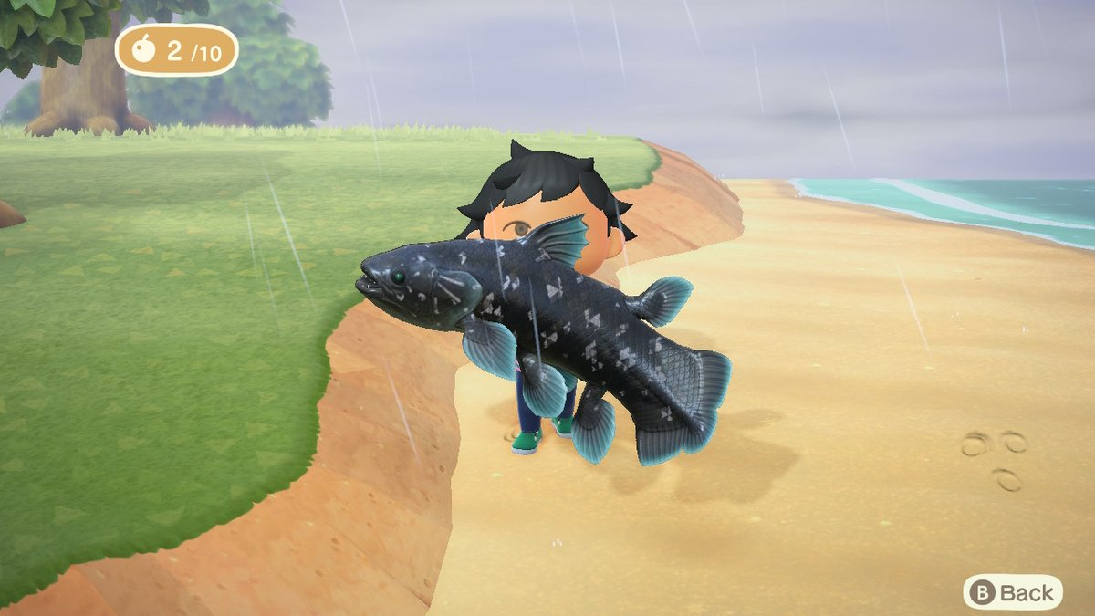 HalksDestiny's tweet image. Caught a coelacanth on a friends island. Hype #coelacanth #AnimalCrossing #ACNH #NintendoSwitch