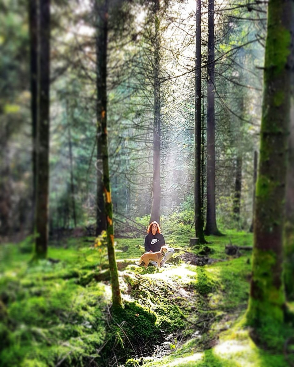 Sattva.Institute tweet media