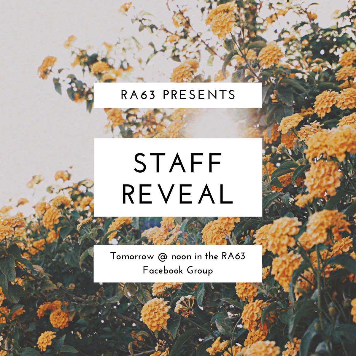 RaiderAwakening's tweet image. Hi y’all I hope y’all are having a healthy and safe spring break so far. Tomorrow at noon we will be revealing RA63 staffs here in the Facebook group! Get excited! ❤️

PS: don’t forget to wash your hands 😉