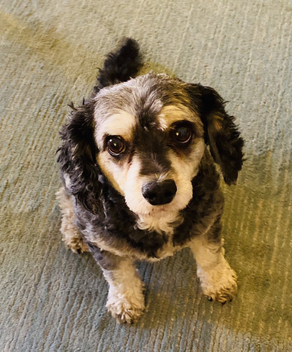 LoveNoteMusical's tweet photo. Grumpy Stan is #grumpystrong https://t.co/4MBpqdXhOF