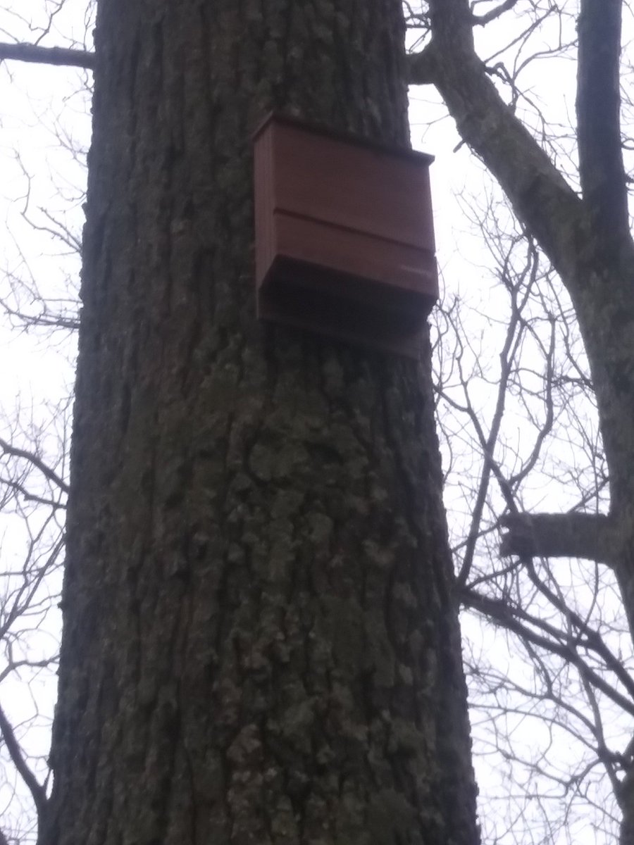 Abbie Smith tweet media