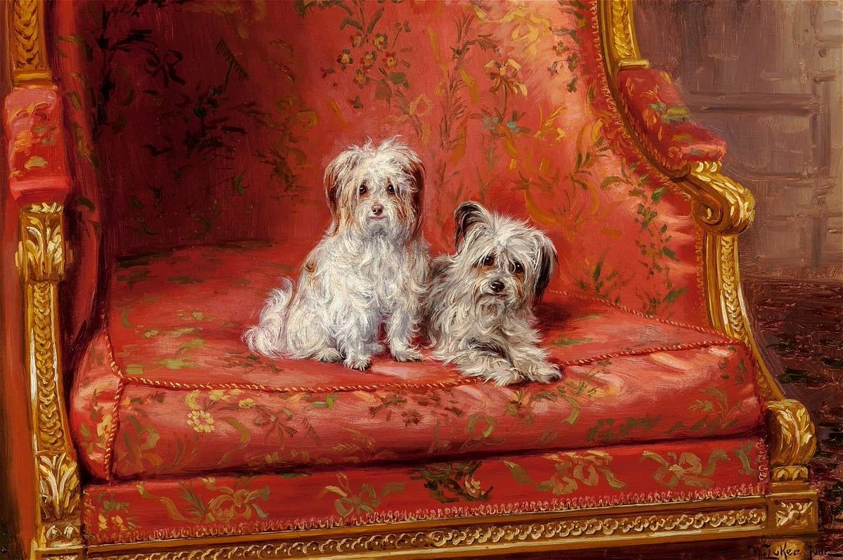 thefindingeye's tweet photo. William Luker, Jr. (British, 1867-1957)⁣
⁣
" Companions "⁣
⁣
Oil on canvas⁣
⁣
Via Heritage Auctions, 12/08/2017⁣
⁣
#williamlukerjr #williamluker #companions #dogs #dog #doggo #woof https://t.co/H5wYcWEFZ9