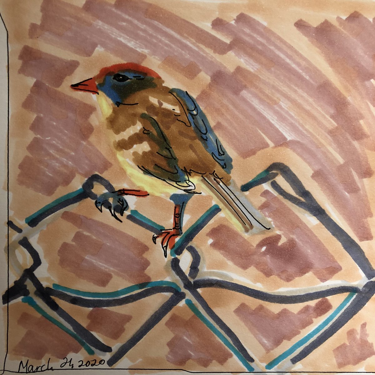 Savana sparrow  #art366  #copicmarkers