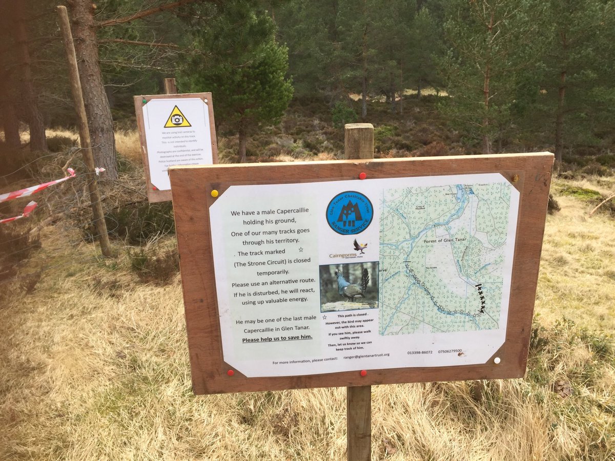 Walked in the wonderful #GlenTanar Estate near #Aboyne #Aberdeenshire today. On the way passed St Lesmo’s Chapel and the drinking trough (inscription on stone says: ‘Drink Weary Pilgrim, Drink and Pray’) but had to divert when we saw this notice!