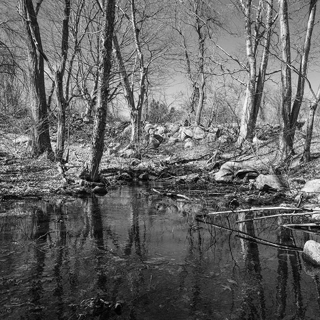 Rural scene #trees #rural #stream #water #landscape #blackandwhite #blackandwhitephotography #nikon #nikonphotography #nikonz7 #nature ift.tt/33C3Buw