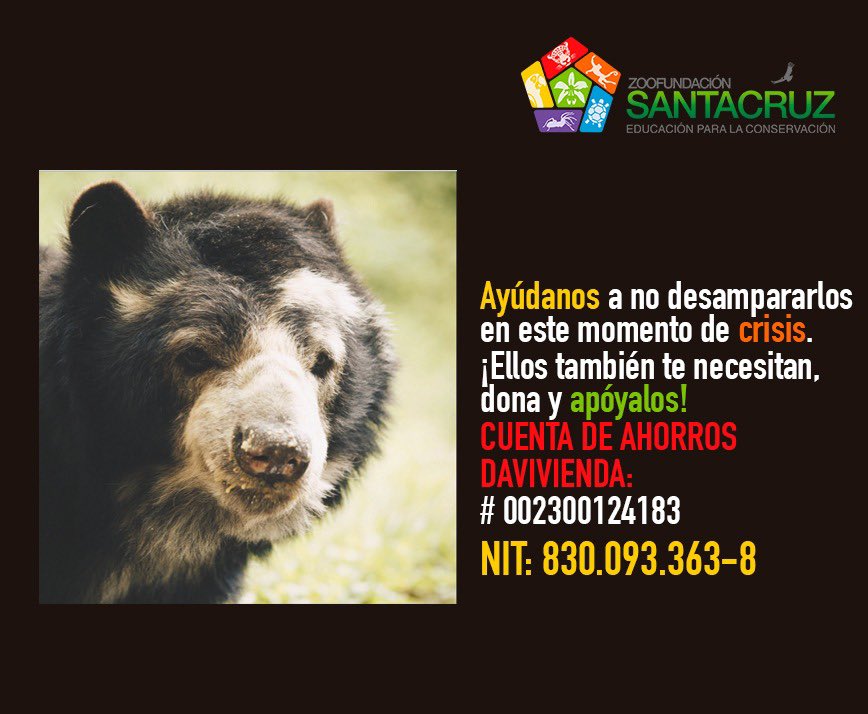 zoosantacruz's tweet photo. El #COVIDー19 nos puso en una difícil situación como Fundación sin ánimo de lucro, podíamos alimentar y cuidar a los más de 700 animalitos que albergamos gracias al apoyo de nuestros visitantes, hoy las medidas nos llevaron al cierre temporal y puso en riesgo su bienestar. https://t.co/2O3z6I4zQd
