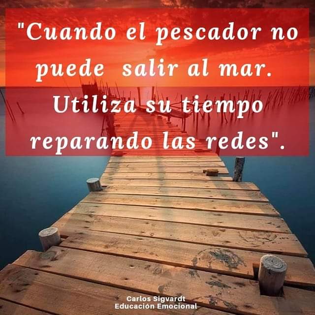 IluminArte tweet media