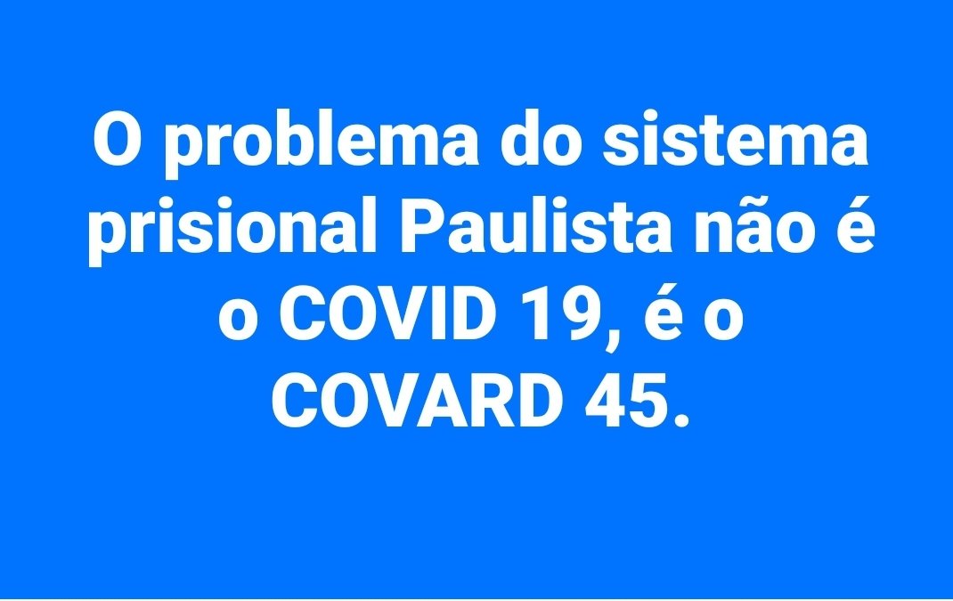 ESTA FRASE MATOU A PAU.