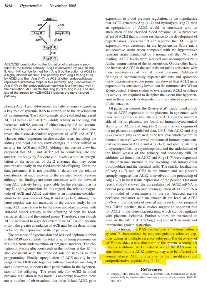 Does Angiotensin-Converting Enzyme (ACE)/ACE2 Balance Contribute to Fate of Angiotensin Peptides in Programmed Hypertension?"ACE2 pathway may also be affected & counterbalance ACE, giving rise to the vasodilatory & antiproliferative peptide Ang (1–7)." https://www.ahajournals.org/doi/full/10.1161/01.HYP.0000185149.56516.0a