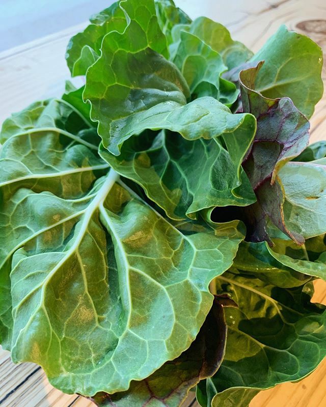 What’s in the Farm Store now? We have:
Herbs 
Kale
Rainbow chard
Lettuce - green Muir - mini red Romaine - Romaine 
Gourmet salad mix
Tokyo turnips
Watermelon radishes
Beets
Red Cabbage 
Citrus 
We’ll have smaller deliveries of eggs if any for a bit. <a href="/wo/">Wo</a>… ift.tt/39bsnCO