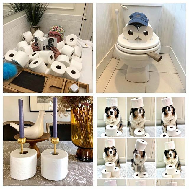 Linda Holt tweet media