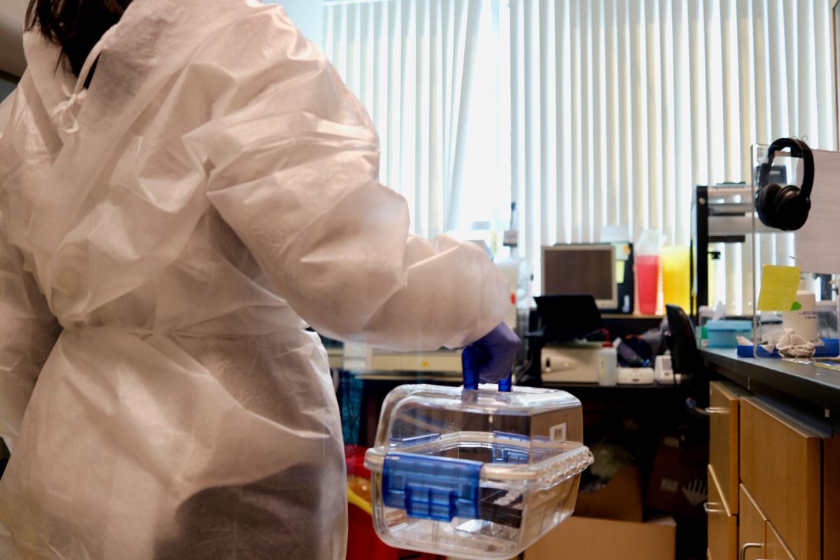 CDCofBC's tweet photo. It may be the weekend but @CDCofBC staff are still hard at work in the lab and on the phones to process #COVID19 tests and give people their results. Thank you to everyone who is helping out their communities this weekend! https://t.co/0xZe54U7LJ