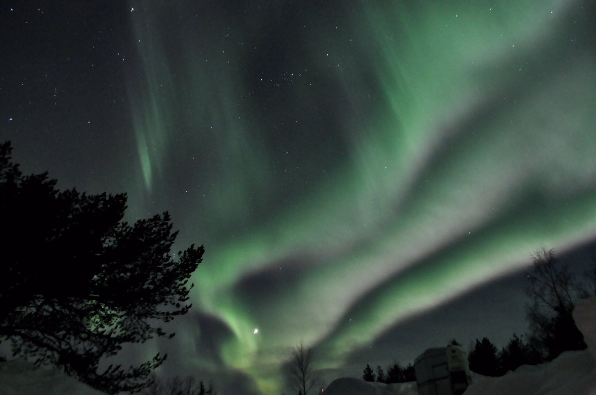 365offgrid's tweet image. My backyard movie right now ... Location Scandinavia, 320km/200miles north from arctic circle.  
#offgrid
#bugout 
#adventure 
#tactical 
#mountain
#survival 
#warrior 
#viking
#frontier 
#wild
#outdoors 
#mountainman 
#life 
#freedom 
#love
#fighter
#professional
#bushcraft