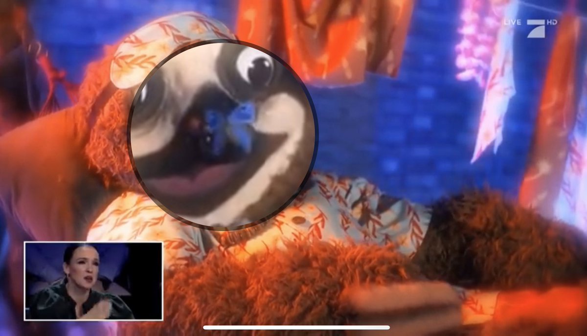 Kevin Korber Ein Altes Schlagdenraab Spiel Schmetterlinge Fangen Moment Themaskedsinger Schlagdenstar Sds