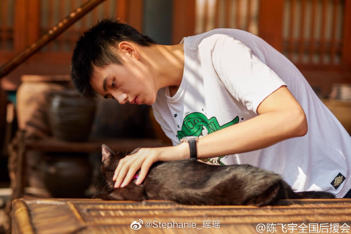Luo Yunxi’s Oasis account often has cat pictures posted and well we have these for Arthur. Both actors are also profound cat lovers how cute!