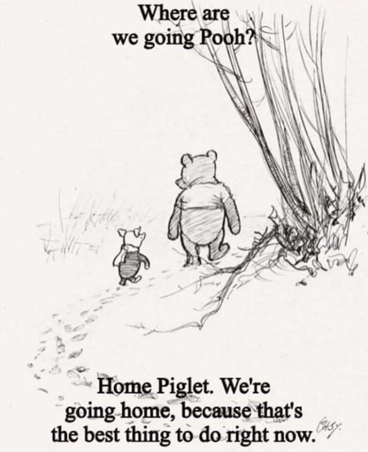 Pooh and Piglet have it right!  #StayHomeSaveLives