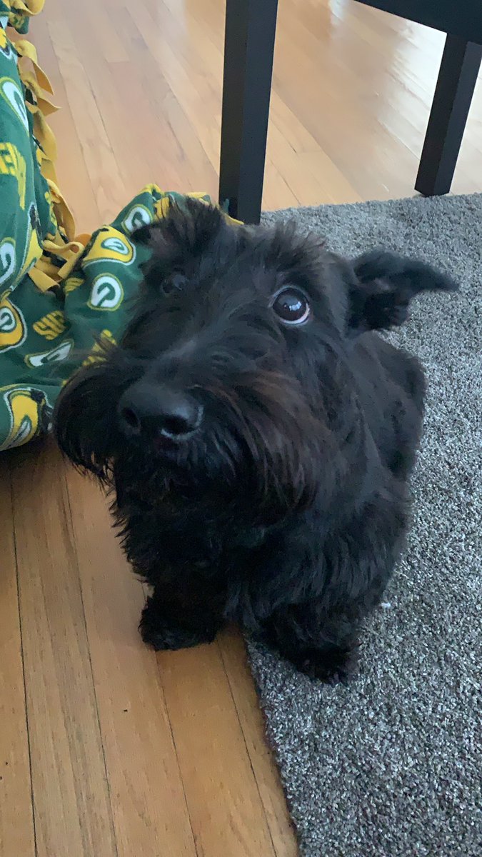 Ms. Sandoval tweet media