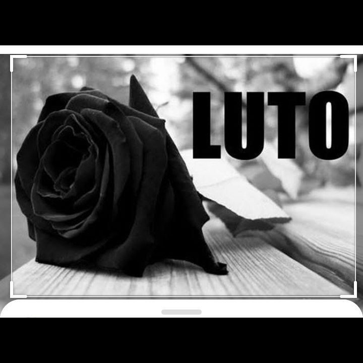 Claudio Barbasa Regi tweet media