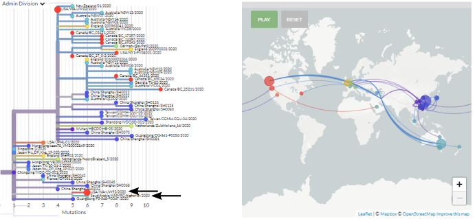 nextstrain's tweet photo. Thanks to incredible #opendata sharing by @UWVirology @kaimrc_ksa &amp; @GISAID, we've updated https://t.co/SDPCOcsnMX with the first #COVID19 #SARSCoV2 #hCoV19 sequence from Saudi Arabia &amp; 24 new sequences from Washington!

Interestingly, the Saudi seq is near 1 of the new WA seqs. https://t.co/umulNHtVr6