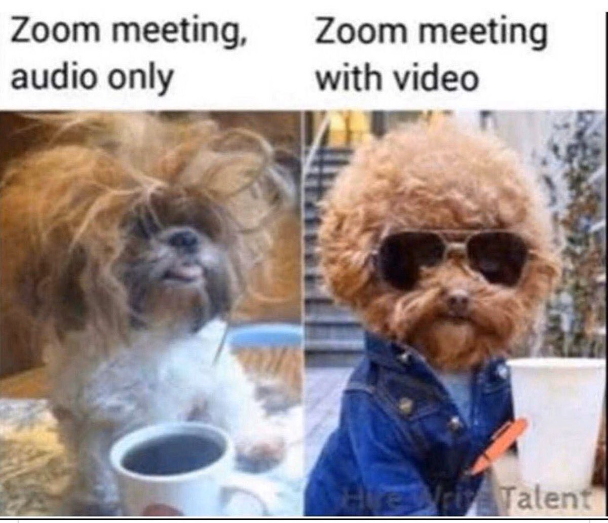 We can all relate! #audioconferencing