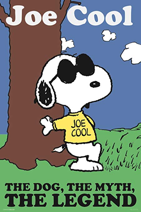 Mike Tancorre tweet media