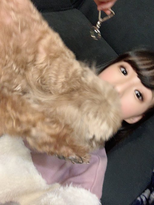 Twitterのコスプレ画像12