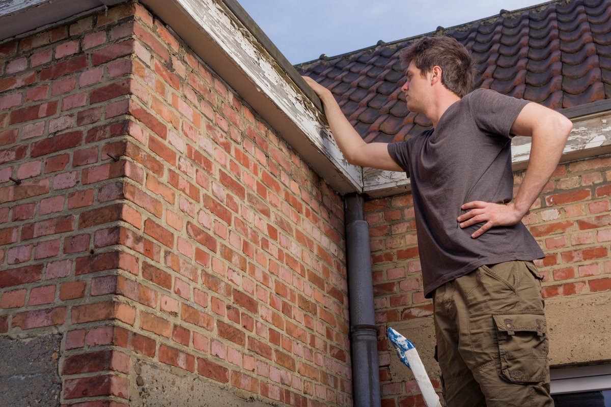 ICYMI: In January, we wrote about doing a DIY roof inspection after winter. 

Check it out for our top tips about inspecting your roof for leaks and damage - and what to do if you find anything concerning: buff.ly/36BdOas 

#roofing #homeinspection