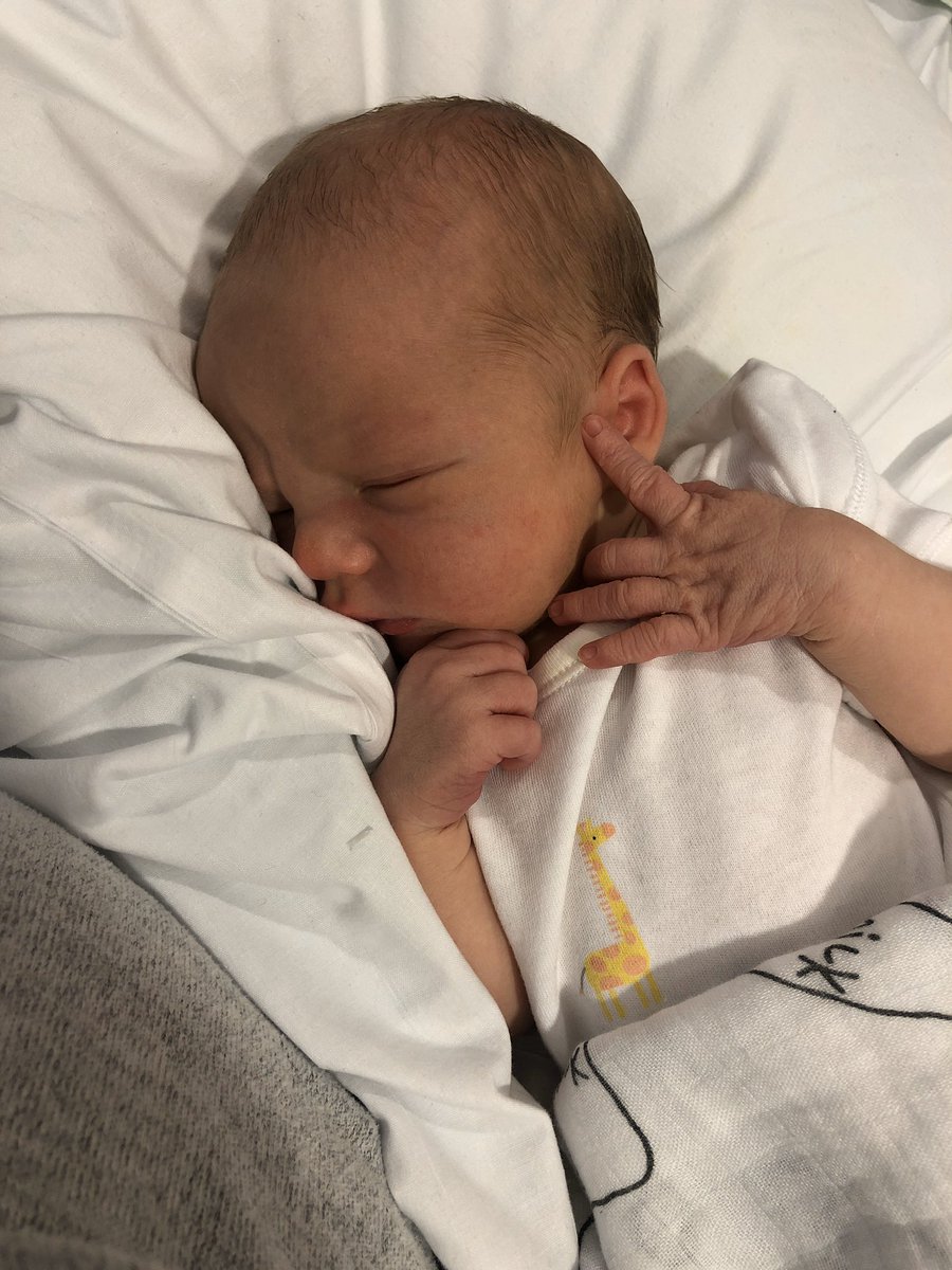 Shannon Patterson✌ tweet media