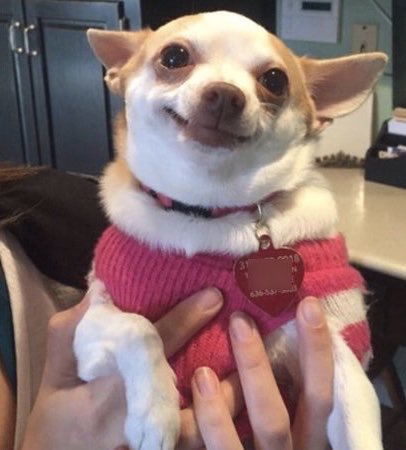 El ESMAD contra estudiantes que protestan por salud y educación // el ESMAD contra los fugados de La Modelo