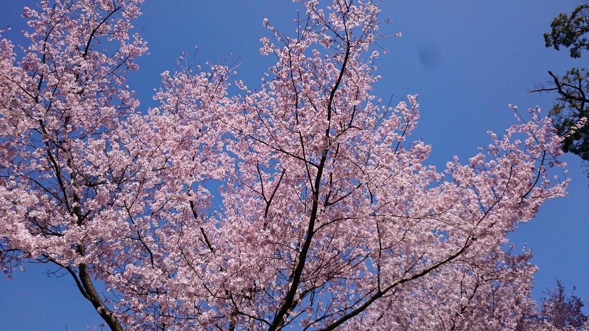 برچسب 飯山白山森林公園 در توییتر برچسب 飯山白山森林公園 در توییتر